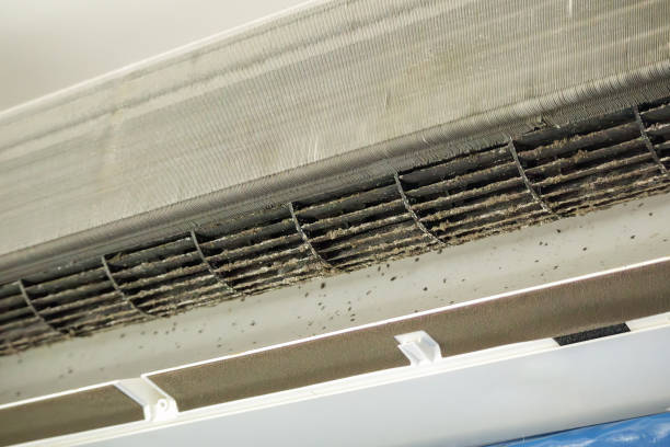 Best Air Quality Test  in Hanover, PA